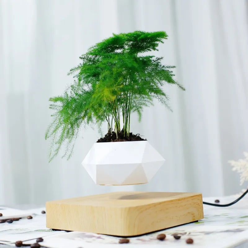 Plante flottante™ |Une façon "magique" de décorer !